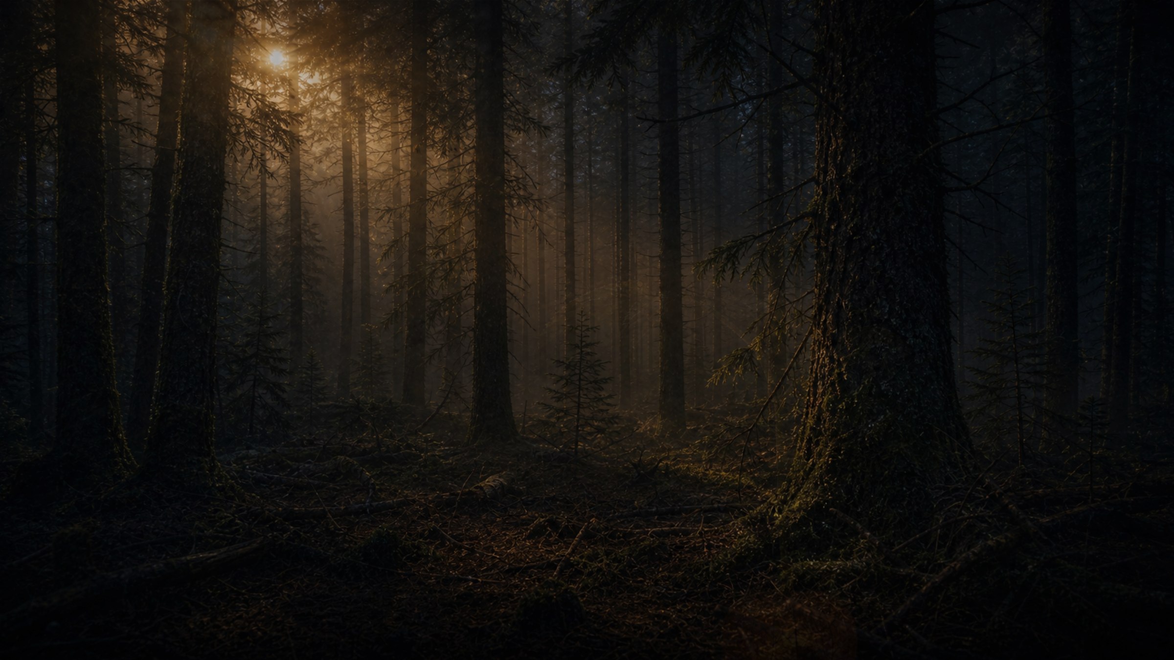 Chapter 2 — descending into the dark forest